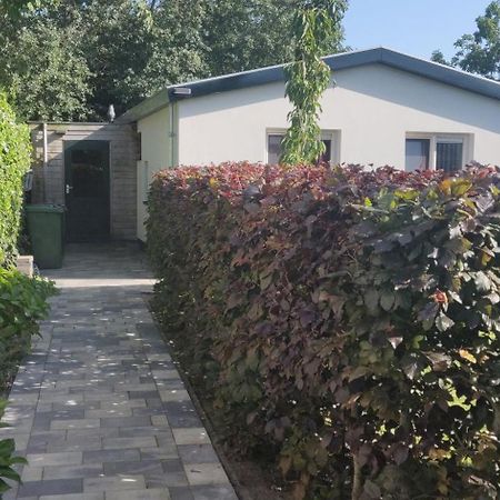 Vakantiebungalow Texel Де-Коксдорп Экстерьер фото
